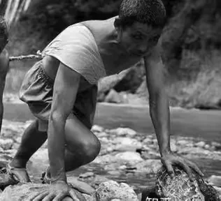 ��ƪ-�˽����������³�����